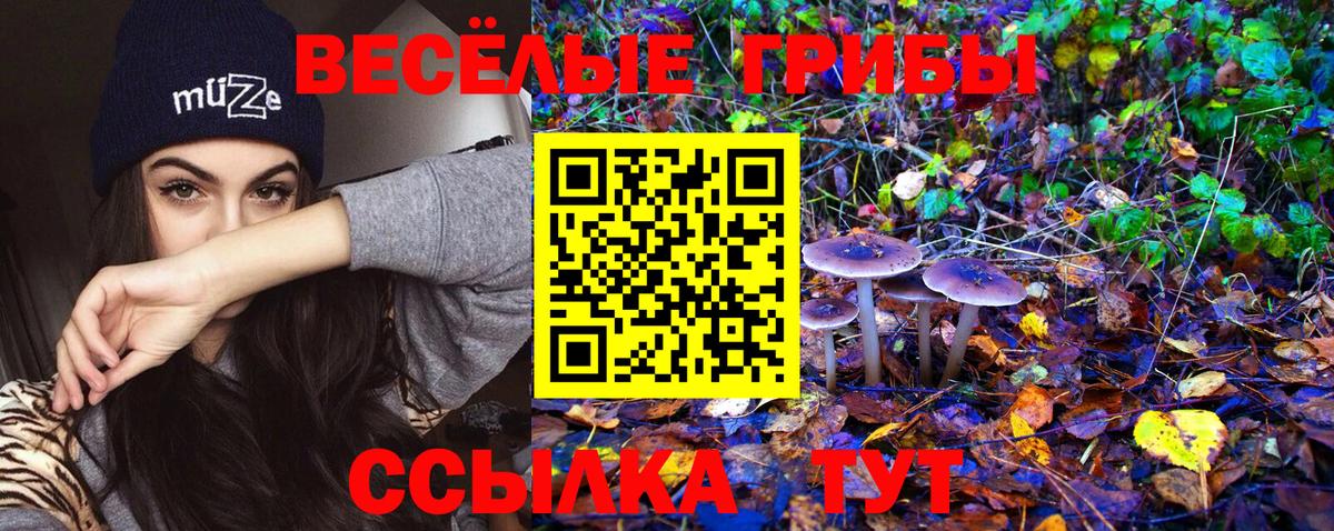 Псилоцибиновые грибы GOLDEN TEACHER Сызрань